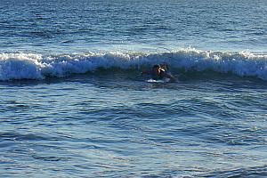 Kelly paddling to catcht he wave.