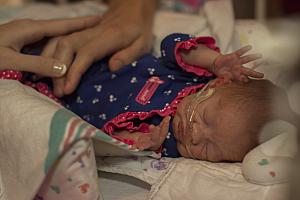 Comforted by mom and dad (Captured by The Tiny Footprints Project. Thank you!)
